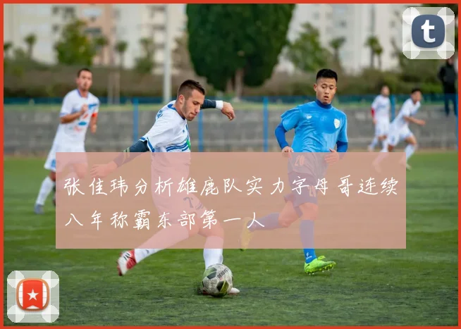 张佳玮分析雄鹿队实力字母哥连续八年称霸东部第一人